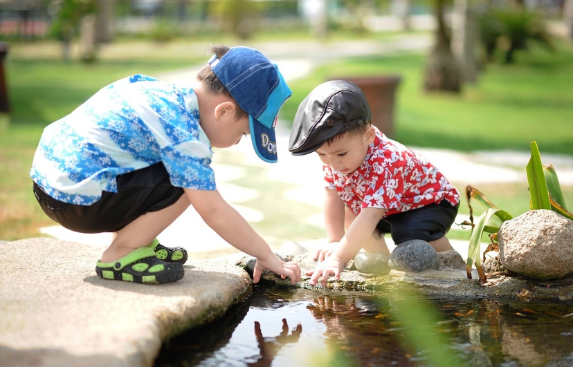 Boys are playing. Image courtesy: pixabay.com