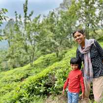 Kausani tea garden